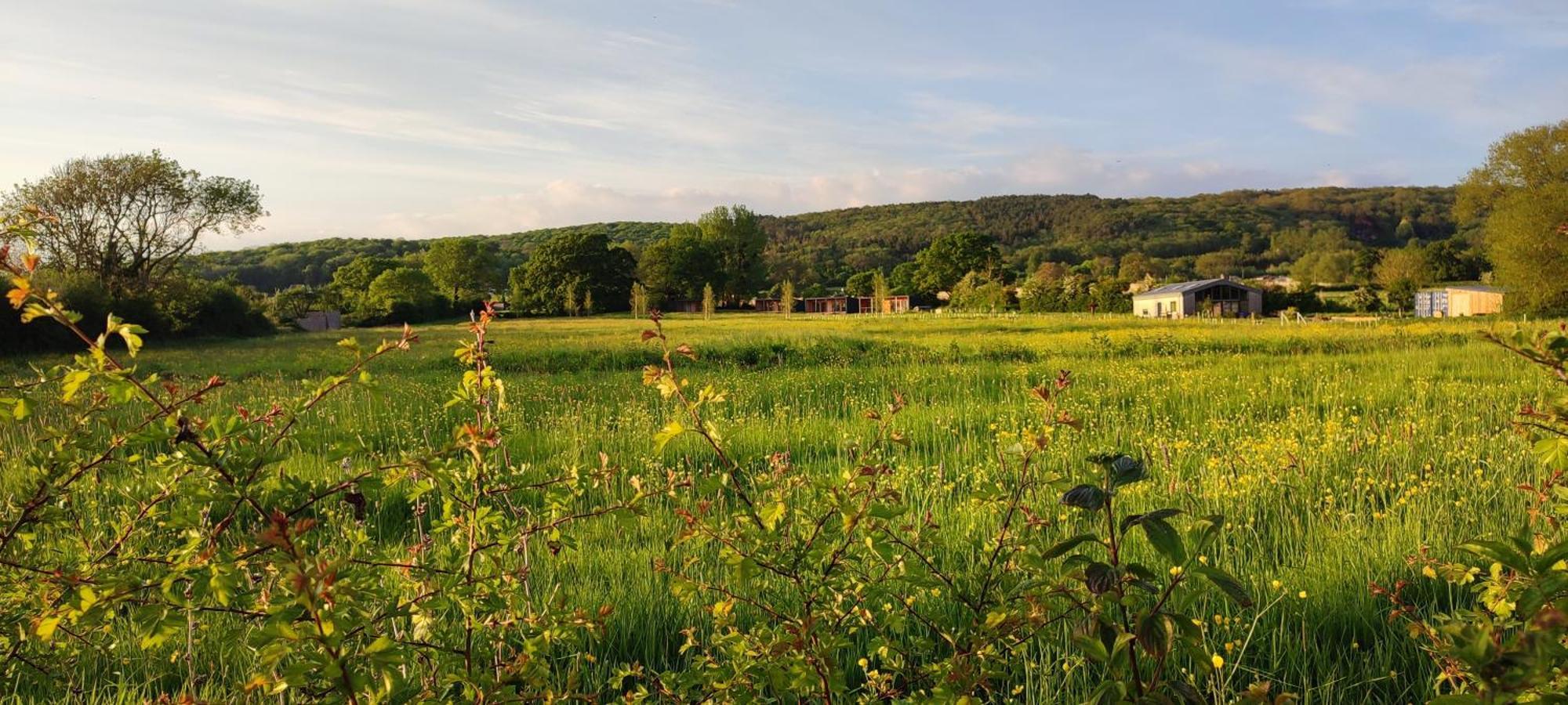 Eco Cabin With Lovely View Of Mendips Aonb Cabin N 1 Congresbury Exteriér fotografie